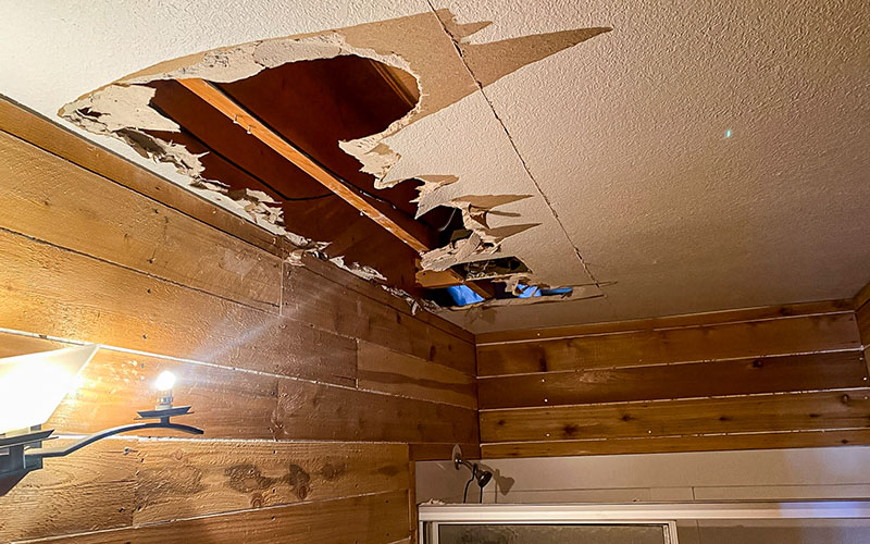 Ceiling Damage